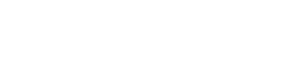 Shanflow